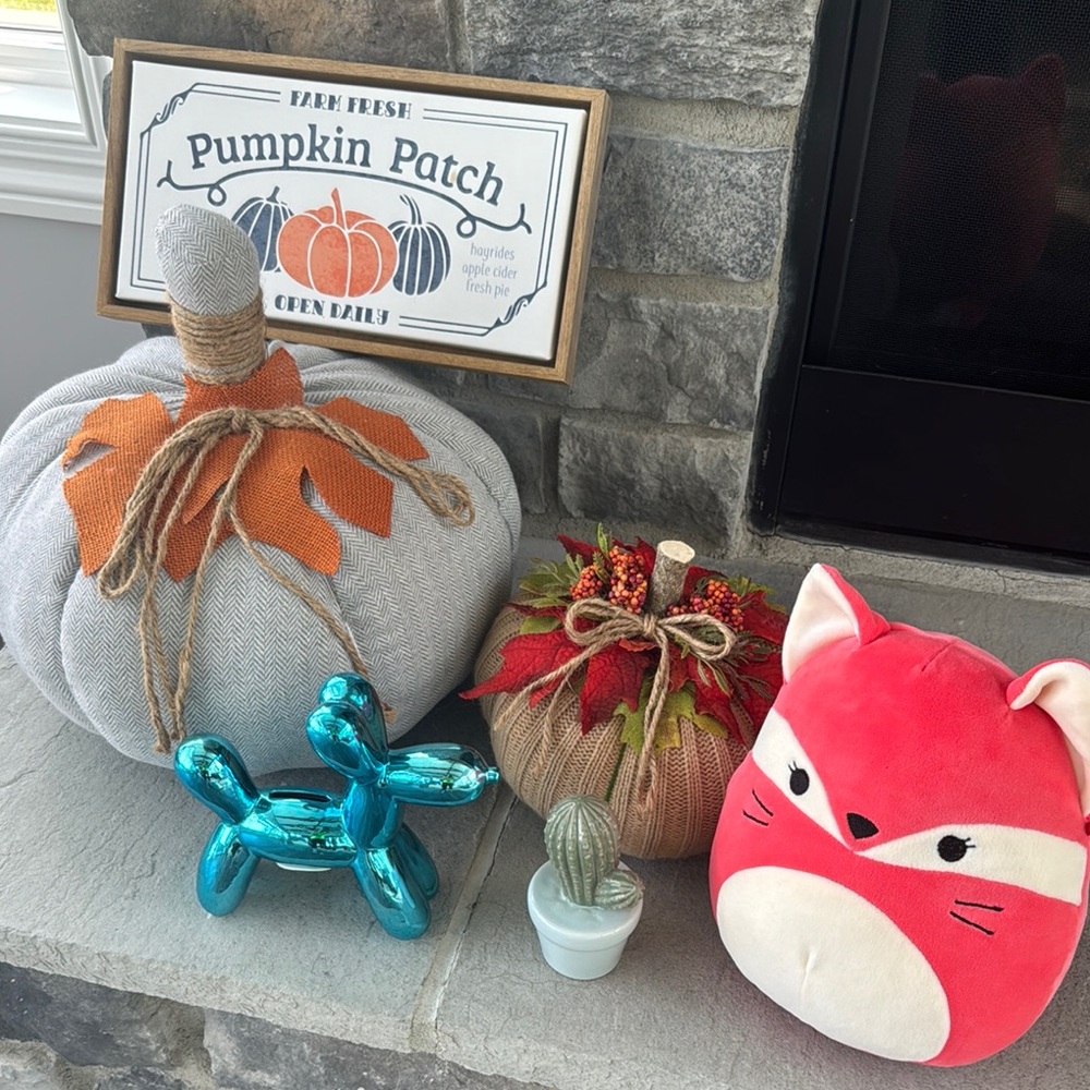 Random bundle - Fall Decor, Squishmallow Fox, ceramic cactus, balloon dog